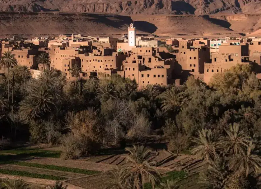 Tinghir Mountains and Oasis Jewel