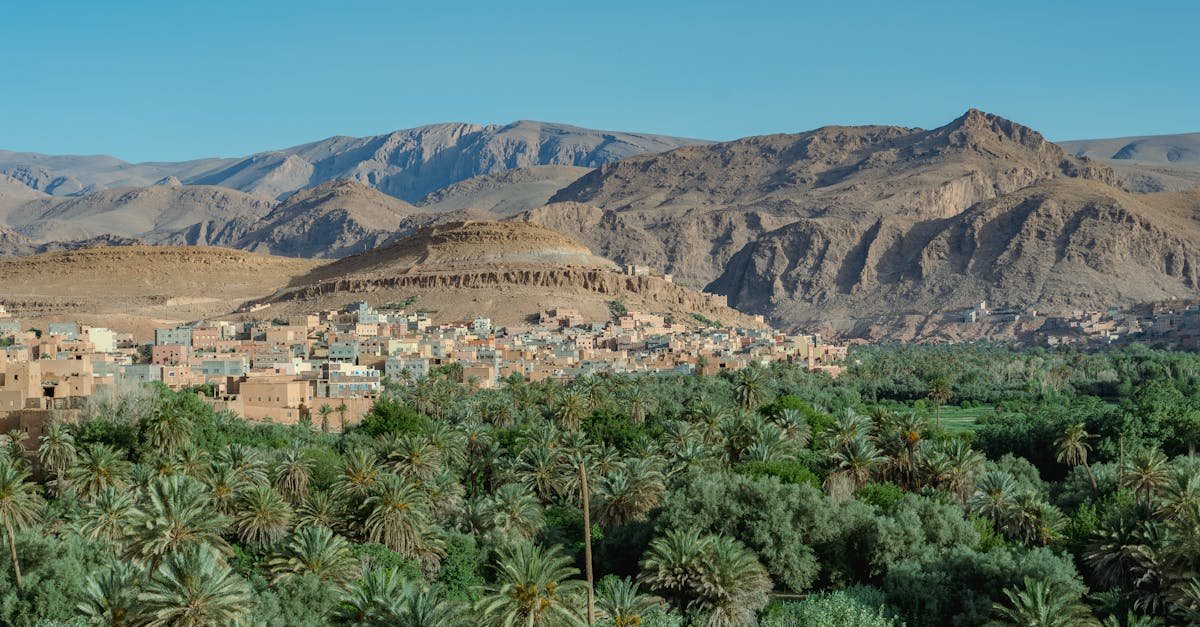 Tinghir Mountains and Oasis Jewel