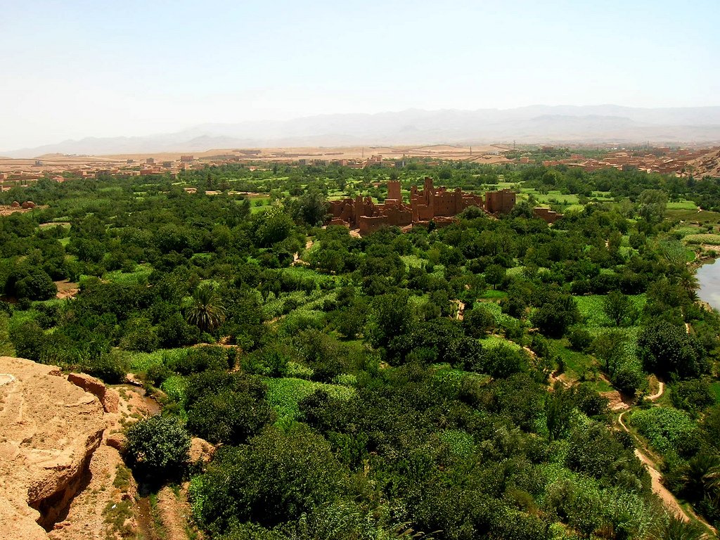 Tazarin Desert Gateway and Cultural Crossroads