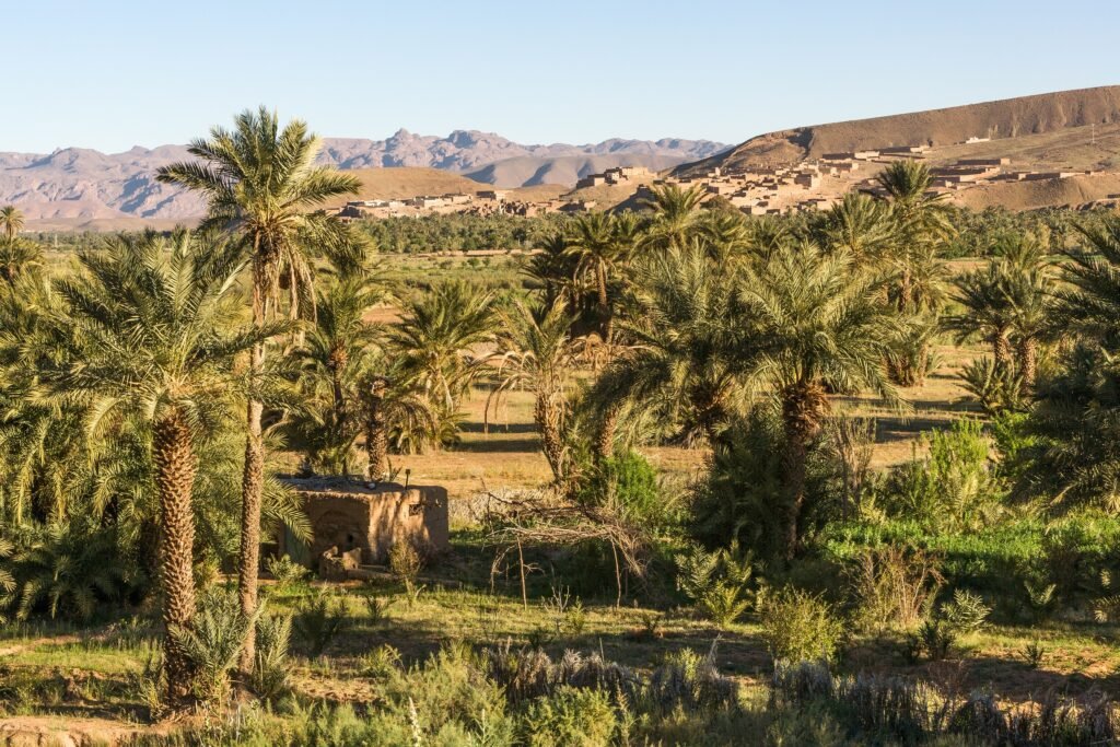 Agdz Mountains and Palm Groves
