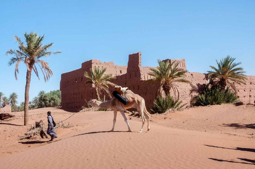 Mhamid El Ghizlane Sahara Edge