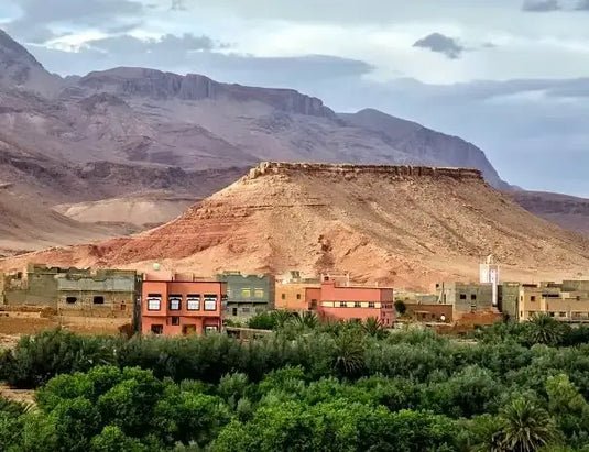 Tinghir Mountains and Oasis Jewel